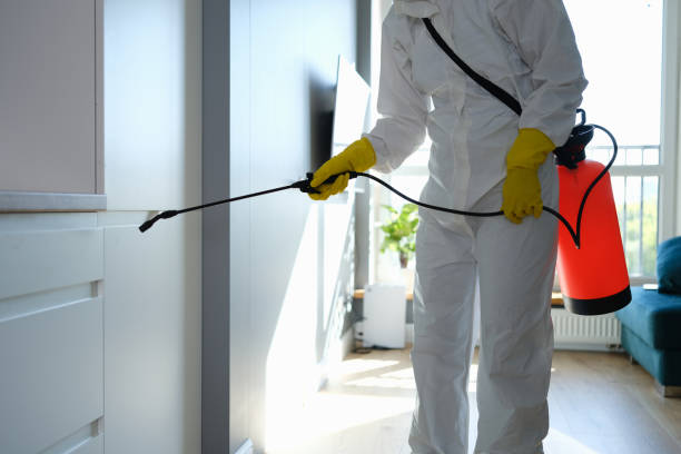 Best Residential Mold Inspection & Testing  in Broomfield, CO
