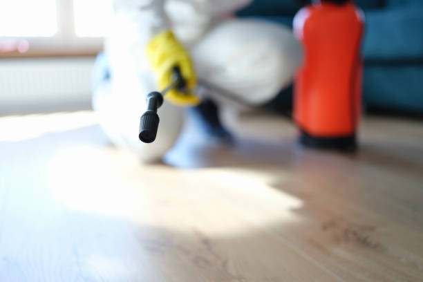 Best Mold Odor Removal Services  in Broomfield, CO