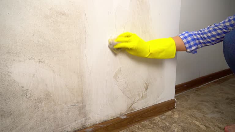 Best Emergency Mold Remediation  in Broomfield, CO