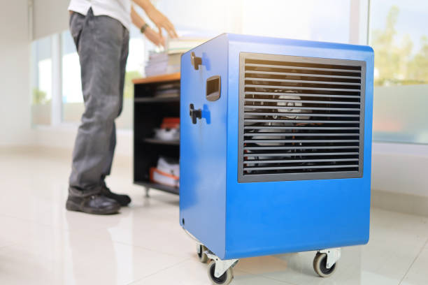 Best Attic Mold Removal  in Broomfield, CO